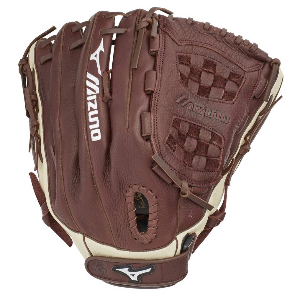 Mizuno Franchise Series Slowpitch 14" Férfi Kesztyű Kávé/Titán PYO958361